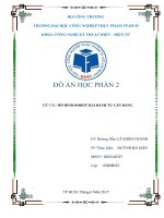 Đồ án học phần 2: Mô hình robot 2 bánh tự cân bằng sử dụng PID