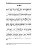 Nghiên cứu vi khuẩn lactic phân lập từ một số sản phẩm lên men