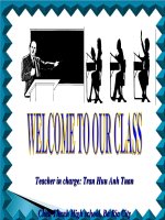 Bài giảng Tiếng Anh 12 - Unit 03: Ways of socializing (Reading)