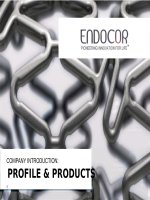 ENDOCOR   company profile 