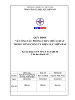 TẬP ĐOÀN ĐIỆN LỰC VIỆT NAMTỔNG CÔNG TY ĐIỆN LỰC MIỀN BẮCQUY ĐỊNHVỀ CÔNG TÁC PHÒNG CHÁY CHỮA CHÁY TRONG TỔNG CÔNG TY ĐIỆN LỰC MIỀN BẮC