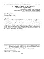 Quy định pháp luật về hiệu trưởng trường đại học tư thục