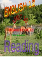 Bài giảng Tiếng Anh 12 - Unit 10: Endangered species (Reading) - Nguyễn Văn Huy