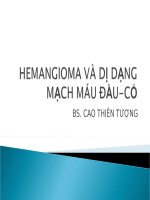 HEMANGIOMA và dị DẠNG MẠCH máu đầu cổ   copy 