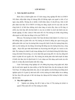tiểu luận lý thuyết tài chính nghiên cứu kinh nghiệm quốc tế về quản lý nhà nước đối với thị trường tài chính trong bối cảnh CMCN 4 0   hà phương nguyễn 