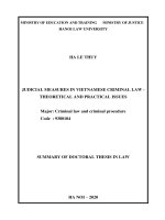 Chế định biện pháp tư pháp trong luật hình sự việt nam   những vấn đề lý luận và thực tiễn tt 