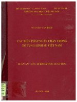 Các biện pháp ngăn chặn trong tố tụng hình sự việt nam  