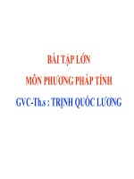 Bài tập lớn Môn phương pháp tính