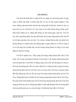 tiểu luận lý thuyết tài chính thực trạng thị trường chứng khoán phái sinh ở việt nam 