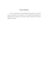 LV Thạc sỹ_nâng cao hiệu quả cho vay tại ngân hàng TMCP việt nam thịnh vượng chi nhánh hà nội 