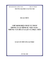 Chế định biện pháp tư pháp trong luật hình sự việt nam   những vấn đề lý luận và thực tiễn 