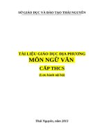 TÀI LIỆU GIÁO DỤC ĐỊA PHƯƠNGMÔN NGỮ VĂN CẤP THCS