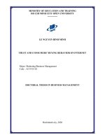 Lòng tin và hành vi mua của người tiêu dùng trực tuyến tt tiếng anh 