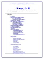 File393 - SO NGUYEN TO