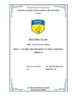 VĂN HÓA DOANH NHÂN VÀ NHÀ LÃNH ĐẠO  TIỂU LUẬN VĂN HÓA DOANH NGHIỆP