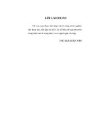 LV Thạc sỹ_quản lý rủi ro tín dụng tại ngân hàng liên doanh việt nga  thực trạng và giải pháp 