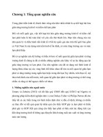 tiểu luận lý thuyết tài chính tổng quan nghiên cứu, cơ sở lý thuyết và phương pháp nghiên cứu về ảnh hưởng của lạm phát đến tăng trưởng kinh tế 