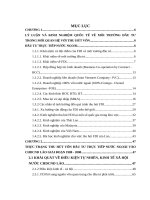 LV Thạc sỹ_hoàn thiện môi trường đầu tư nhằm tăng cường thu hút vốn đầu tư nước ngoài ở CHDCND lào 