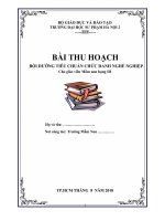 BÀI THU HOẠCH BỒI DƯỠNG TIÊU CHUẨN CHỨC DANH NGHỀ NGHIỆPCho giáo viên Mầm non hạng III