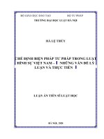 Chế định biện pháp tư pháp trong luật hình sự việt nam   những vấn đề lý luận và thực tiễn 