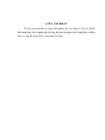 LV Thạc sỹ_phát triển dịch vụ thẻ tại ngân hàng đầu tư và phát triển việt nam BIDV 