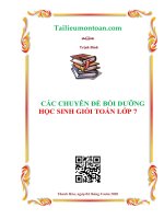 cac chuyen de boi duong hoc sinh gioi lop 7 