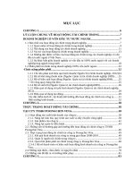 LV Thạc sỹ_giải pháp tài chính đối với công ty trách nhiệm hữu hạn poongchin vina 