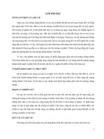 tiểu luận lý thuyết tài chính phân tích thực trạng thị trường cổ phiếu ở việt nam hiện nay 