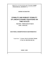 Tính ổn định và ổn định vững của phương trình động lực tuyến tính trên thang thời gian 
