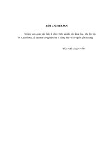 LV Thạc sỹ_giải pháp hoàn thiện công tác quản lý rủi ro tín dụng tại ngân hàng TMCP công thương việt nam   chi nhánh thanh hoá 