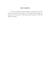 LV Thạc sỹ_hoàn thiện quản trị chuỗi cung ứng xăng dầu tại công ty TNHH một thành viên dịch vụ xăng dầu nam định 