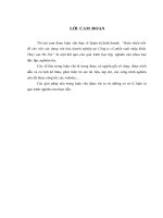 LV Thạc sỹ_hoàn thiện tiền đề cho việc xây dựng văn hoá doanh nghiệp tại công ty cổ phần xuất nhập khẩu thuỷ sản hà nội 