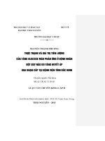 Thực trạng và giá trị tiên lượng của tăng glucose máu phản ứng ở bệnh nhân đột quỵ não do tăng huyết áp giai đoạn cấp tại bệnh viện tỉnh bắc ninh (luận văn thạc sĩ) 