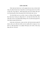 LV Thạc sỹ_nâng cao chất lượng đội ngũ cán bộ, công chức chính quyền cấp xã ở tỉnh điện biên hiện nay 