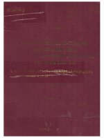 Chính quyền nhà nước cấp thành phố trực thuộc trung ương trong tổ chức thực hiện quyền lực nhà nước trên địa bàn thành phố  
