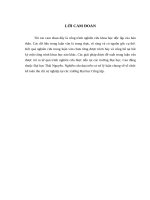 LV Thạc sỹ_hoàn thiện tổ chức kế toán thu, chi sự nghiệp tại các trường đại học, cao đẳng thuộc ĐHTN 