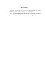 LV Thạc sỹ_phát triển hoạt động tư vấn phát hành cổ phiếu ra công chúng tại công ty cổ phần chứng khoán quốc tế hoàng gia 