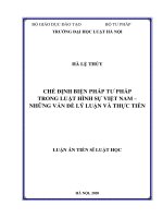 Chế định biện pháp tư pháp trong luật hình sự Việt Nam - Những vấn đề lý luận và thực tiễn