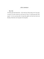 LV Thạc sỹ_hoàn thiện hệ thống thông tin kế toán phục vụ quản trị chi phí, doanh thu và kết quả tại công ty cổ phần gang thép thái nguyên 