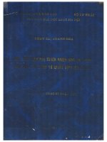 Tình tiết giảm nhẹ trách nhiệm hình sự trong việc định tội danh và quyết định hình phạt  