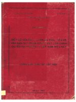 Một số vấn đề lý luận và thực tiễn về văn bản quy phạm pháp luật của chính quyền địa phương ở việt nam hiện nay  