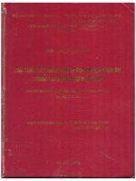 Các tình tiết giảm nhẹ trách nhiệm hình sự trong luật hình sự việt nam  