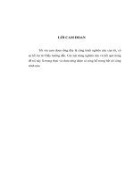 LV Thạc sỹ_hoàn thiện kế toán chi phí sản xuất và tính giá thành sản phẩm tại công ty cổ phần đầu tư  và  xây dựng đô thị hà nội   