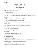 giáo án TNXH lớp 1 sách cánh diều - cả năm