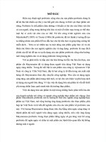 NGHIÊN CỨU TẠO SỐT MAYONNAISE PROBIOTIC TỪ SẢN PHẨM CỦA CÔNG TY AJINOMOTO VIỆT NAM - LUẬN VĂN CÔNG NGHỆ THỰC PHẨM