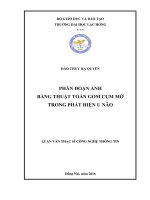 Phân đoạn ảnh bằng thuật toán gom cụm mờ trong phát hiện u não: luận văn thạc sĩ