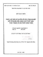 Pháp luật bảo hộ quyền sở hữu công nghiệp đối với nhãn hiệu hàng hoá ở việt nam thực trạng và giải pháp hoàn thiện  