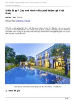 villa la gi cac mo hinh villa pho bien tai viet nam 