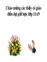 Bài giảng Đại số và Giải tích 11 - Bài 1: Phương pháp quy nạp toán học