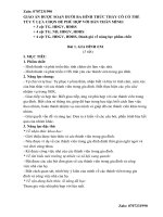 Giáo án TNXH cánh diều